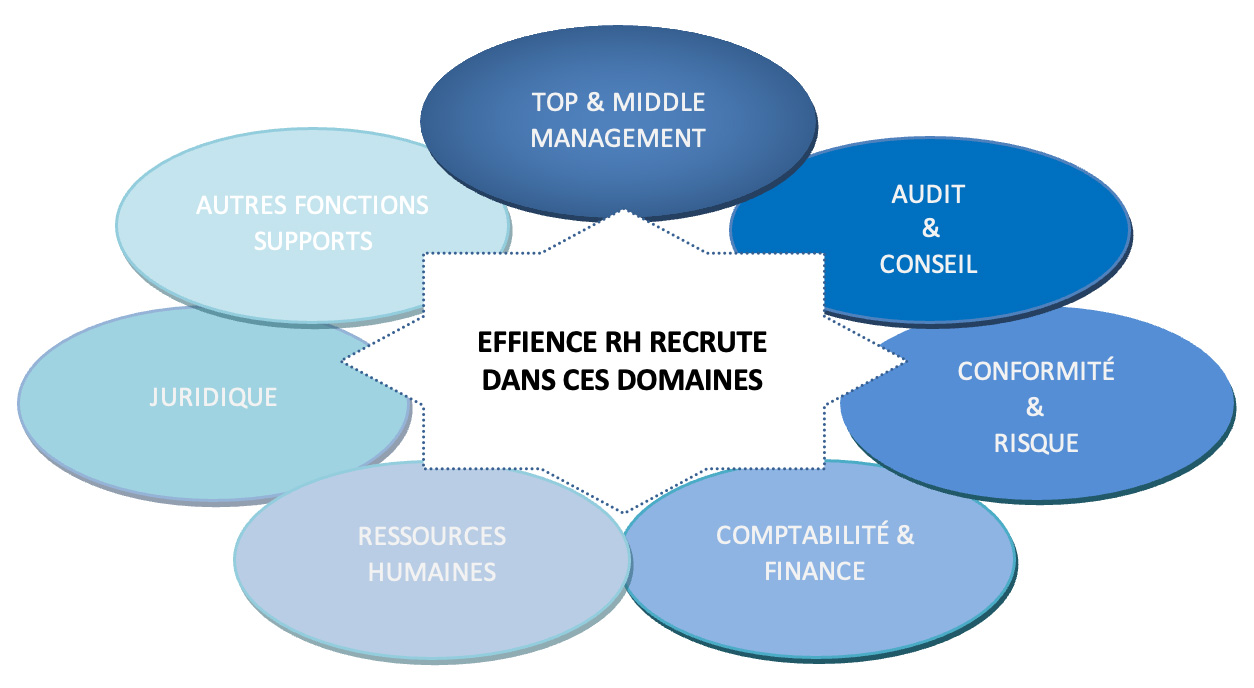 Effience RH : Domaines d'intervention